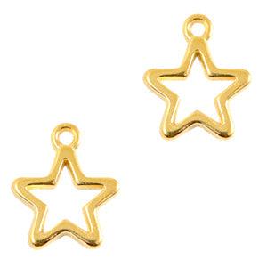 Bedel DQ metaal ster Goud 16x14mm