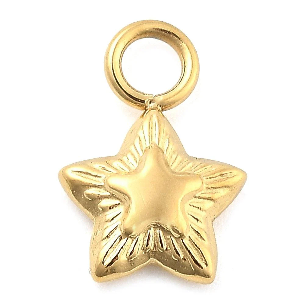 Bedel Ø2.5mm ster Premium RVS 14K goud 11.5mm - per stuk