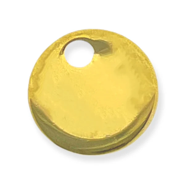 Bedel RVS muntje goud 6x0,8mm