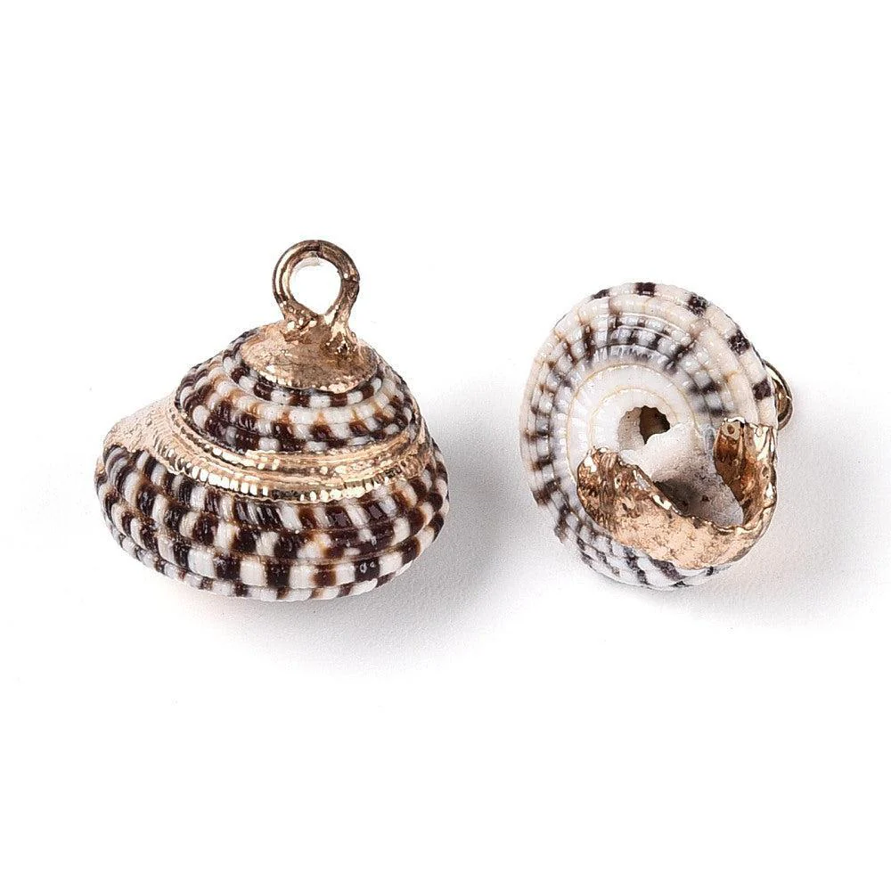 Bedel schelp goud coconut brown ±15mm - per stuk