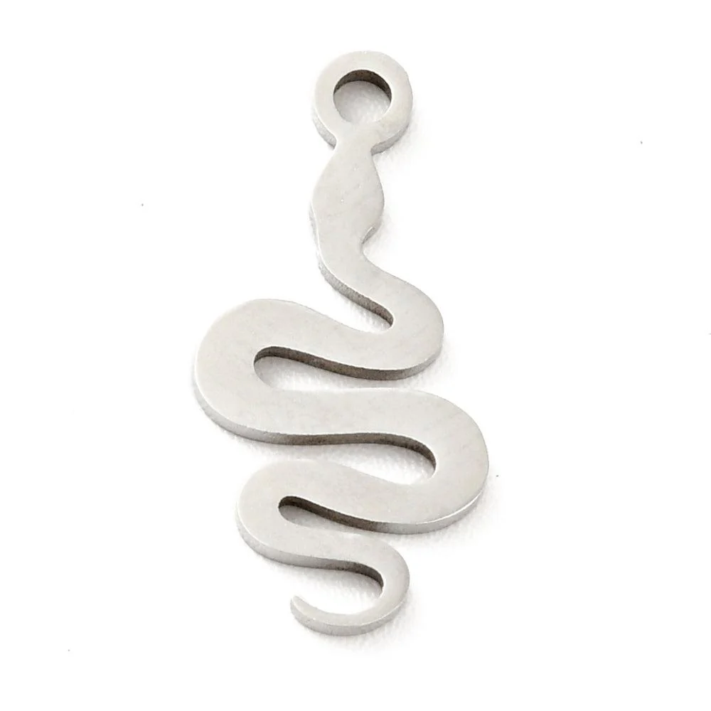 Bedel slang RVS zilver 17x8mm