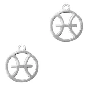 Bedel Sterrenbeeld vissen Stainless steel Zilver (RVS) 13x11mm