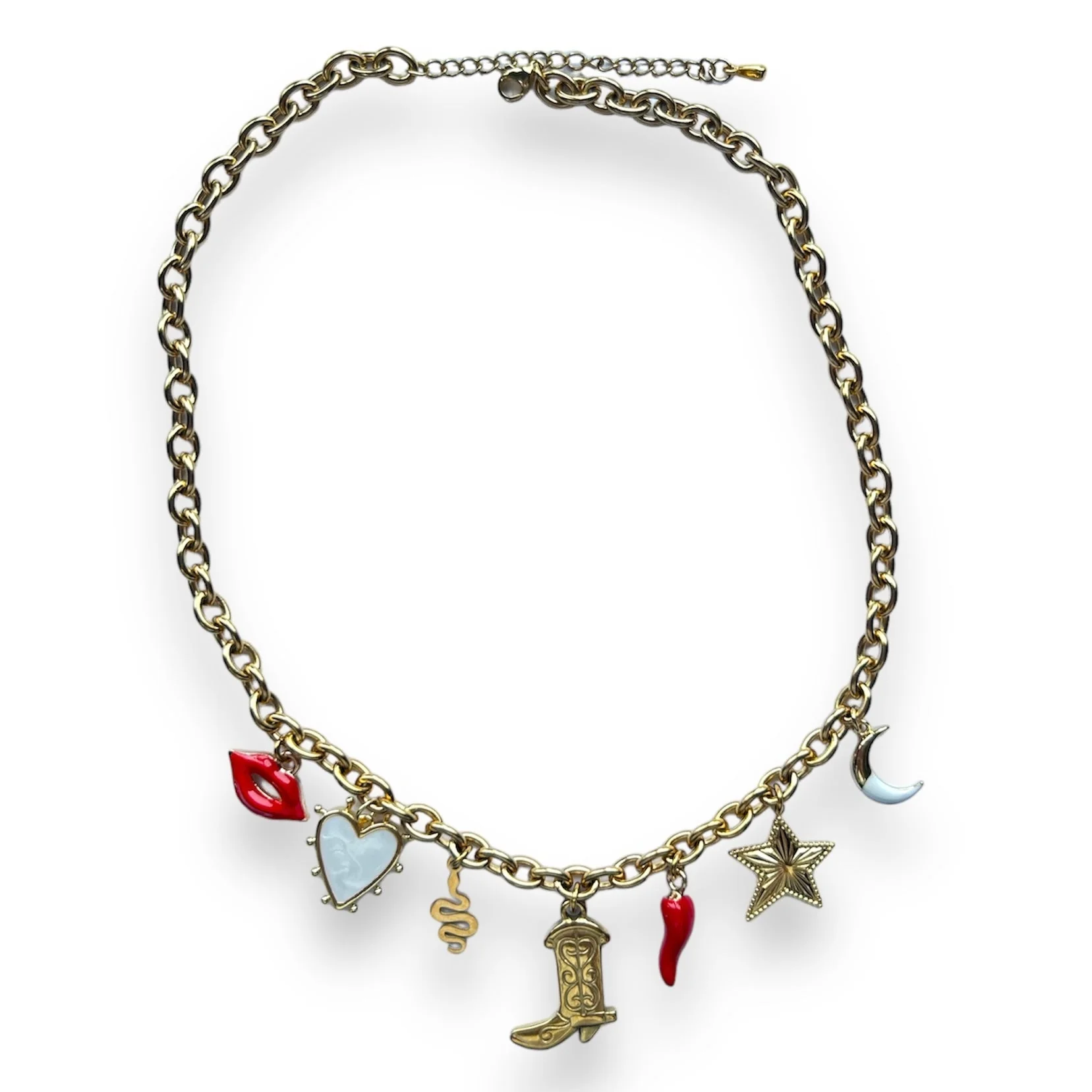 Western cowboy ketting Stainless steel - Image 3