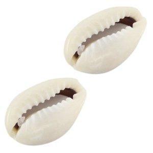 Kauri open schelp Ivoor grijs ±17/18x13mm - 10 stuks