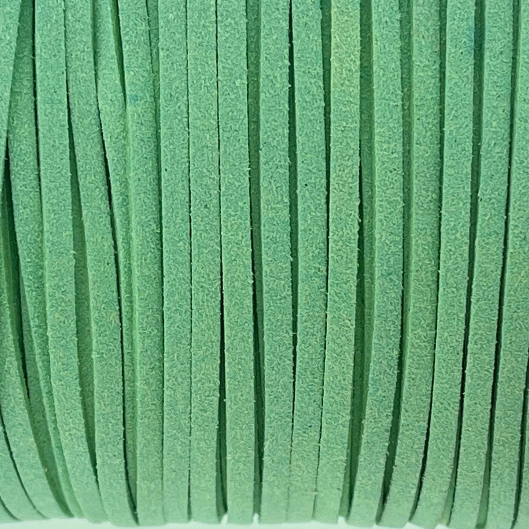 Imitatie suede mint groen 3x1,5mm - 2 meter