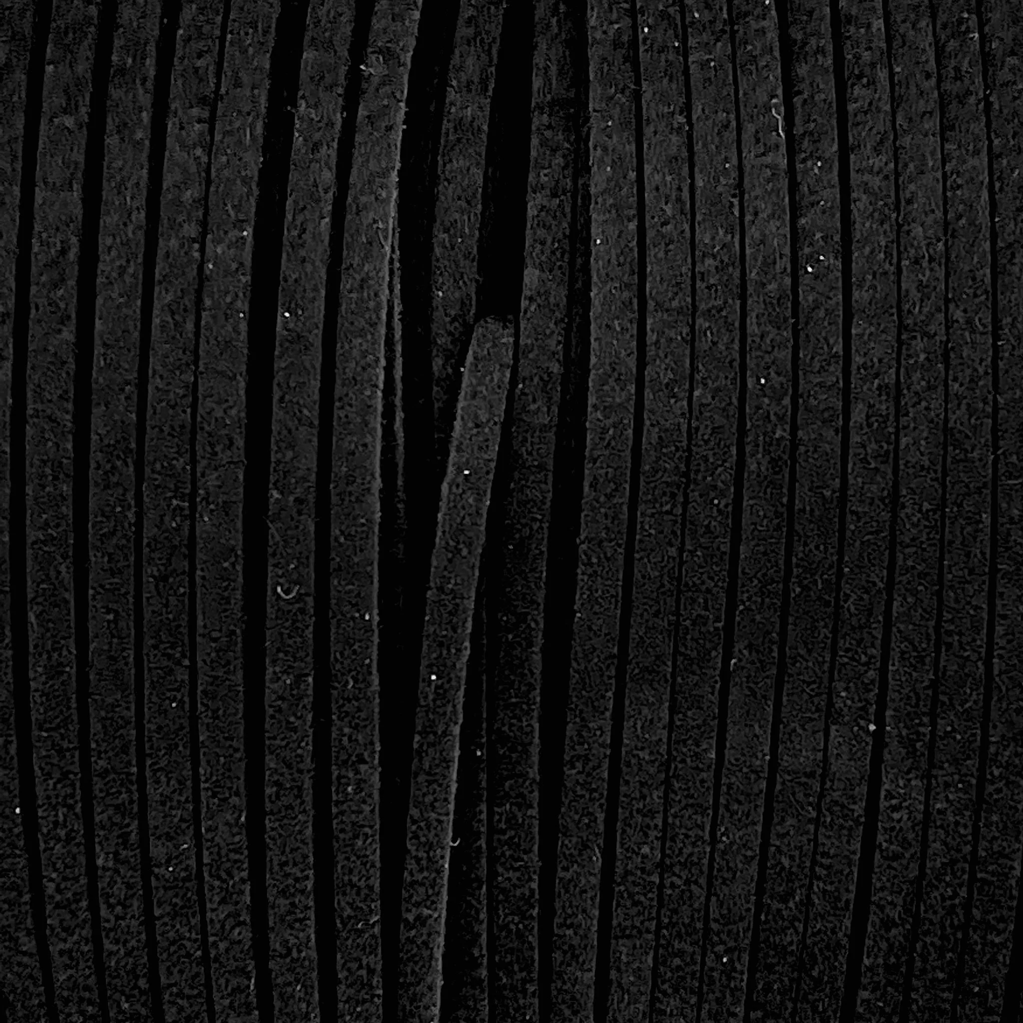 Imitatie suede zwart 3x1,5mm - 2 meter