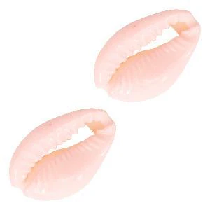 Kauri open schelp Sweet lilac rose ±17x12mm