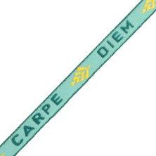 Lint met tekst "carpe diem" Turquoise-green - 1 meter